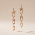 Graduated Link Drop Earrings